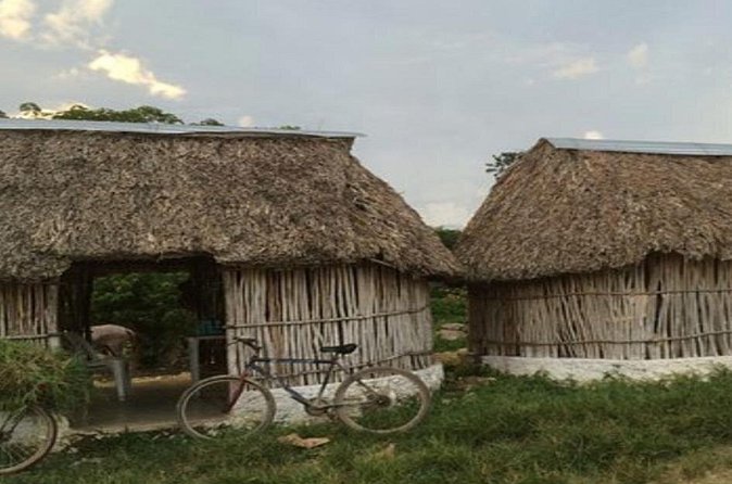 Progreso Shore Excursion: Small Group Shopping & Merida City Tour - Flexibility with the Non-Porting Guarantee