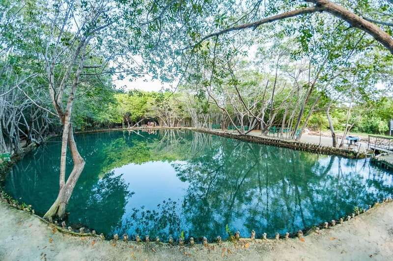 Progreso: Sightseeing Trip with Mayan Ruins & Beach Break - Practical Details and Logistics of the Tour