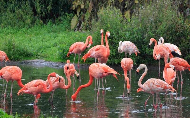 Progreso: Sightseeing Trip with Mayan Ruins & Beach Break - Relaxing at the Beach Club with Family-Friendly Options