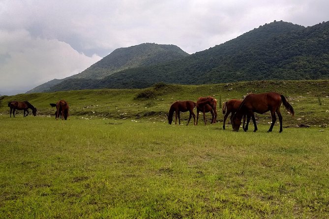 Prometheus cave, Martvili canyon, Okatse waterfall and Lomina lake from Kutaisi - Marveling at Okatse Waterfall and Its Surroundings