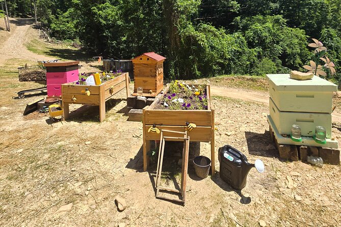 Promise Land Bee Farm Private Tour in Charleston - Uncovering the Charm of the Promise Land Bee Farm Private Tour in Charleston