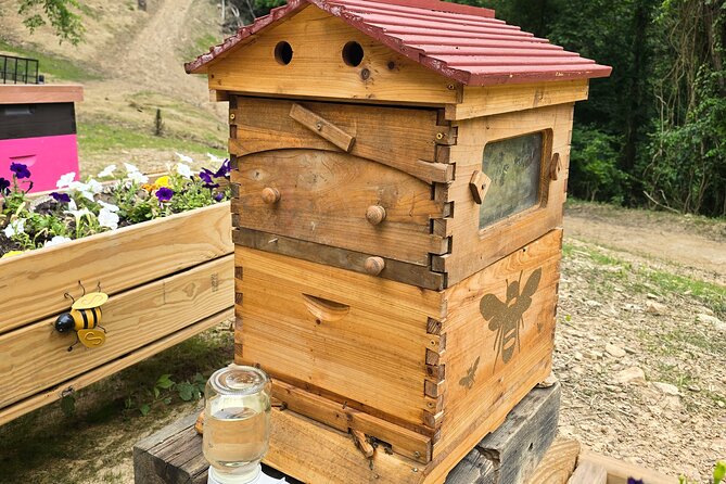 Promise Land Bee Farm Private Tour in Charleston - The Experience of Brandon: Guides and Personal Attention