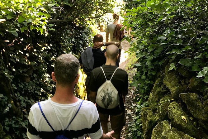 Prosecco Origins Wine Experience - Practical Details: Meeting Point, Weather, and Accessibility