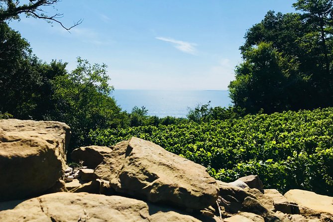 Prosecco Origins Wine Experience - The Practical Value and Limitations