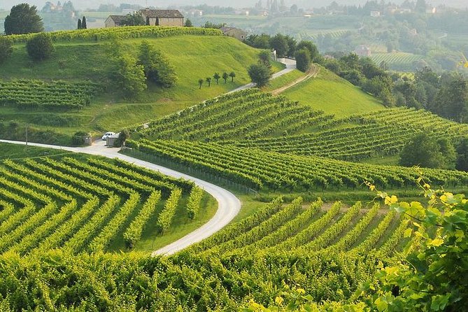 Prosecco Tour and Tasting from Venice - Tasting Multiple Types of Prosecco and Veneto Cuisine