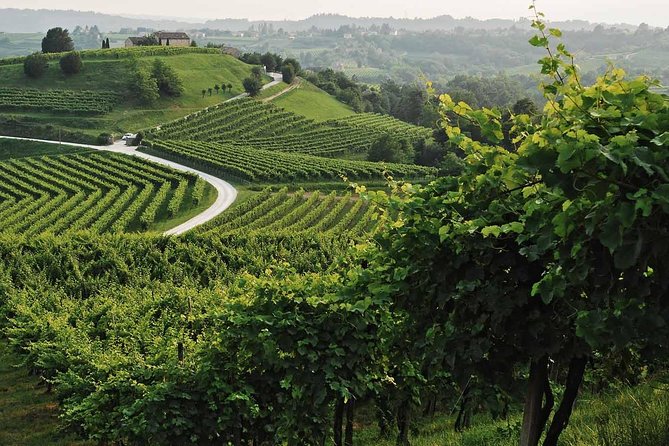 Prosecco Tour and Tasting from Venice - Exploring the Veneto Countryside and Villages