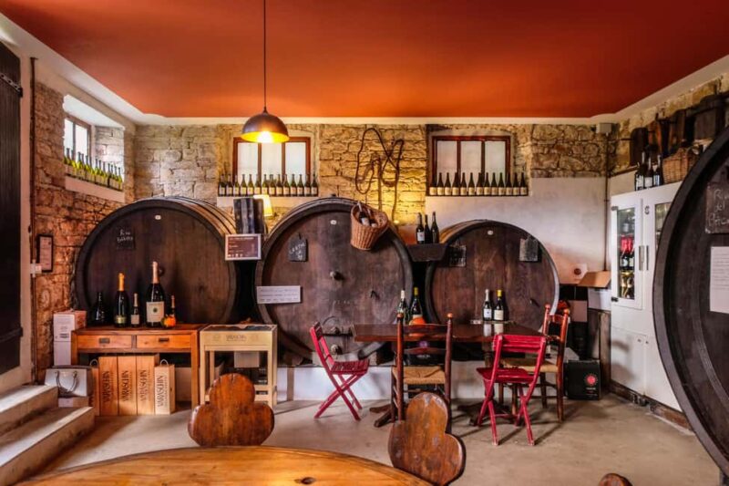 Prosecco tour in Valdobbiadene: Wine tasting and local products - Comparing This Tour to Similar Options