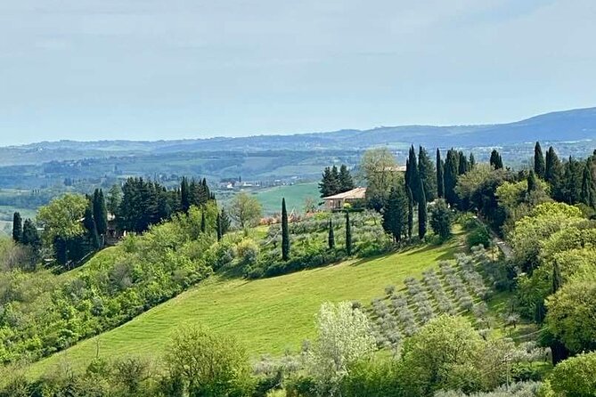 Prosecco Wine Tour. Full day from Venice - Prosecco Tasting and Veneto Cuisine