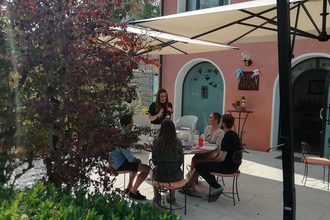 Prosecco - Wine tour & tasting - Full day in the Prosecco region - Prosecco - Wine tour & tasting - Full day in the Prosecco region