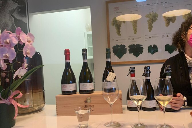 Prosecco - Wine tour & tasting - Full day in the Prosecco region - Included and Not Included Services