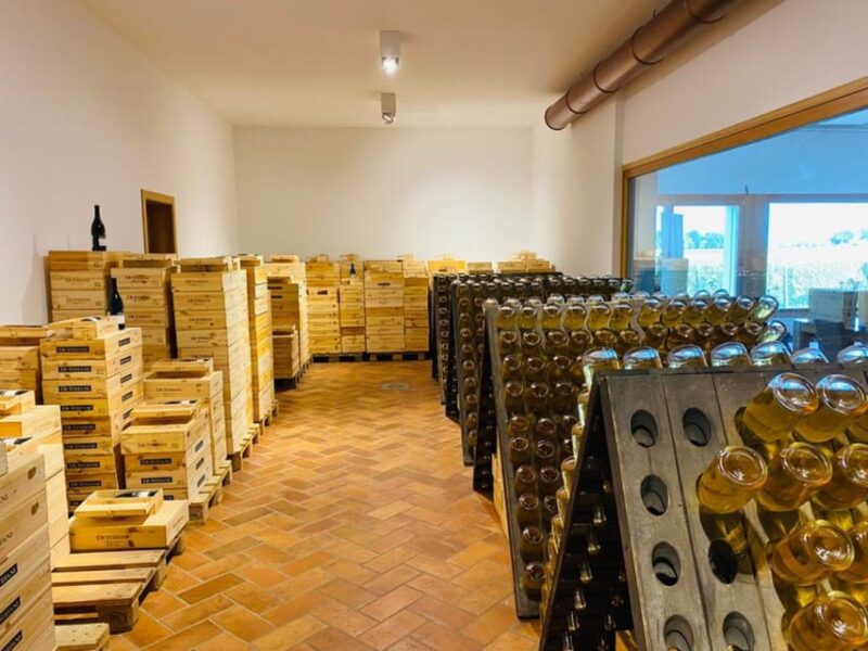 Prosecco Winery Tasting with Food Pairing near Venice - Inside the Winery: The Guided Tasting of 5 Wines