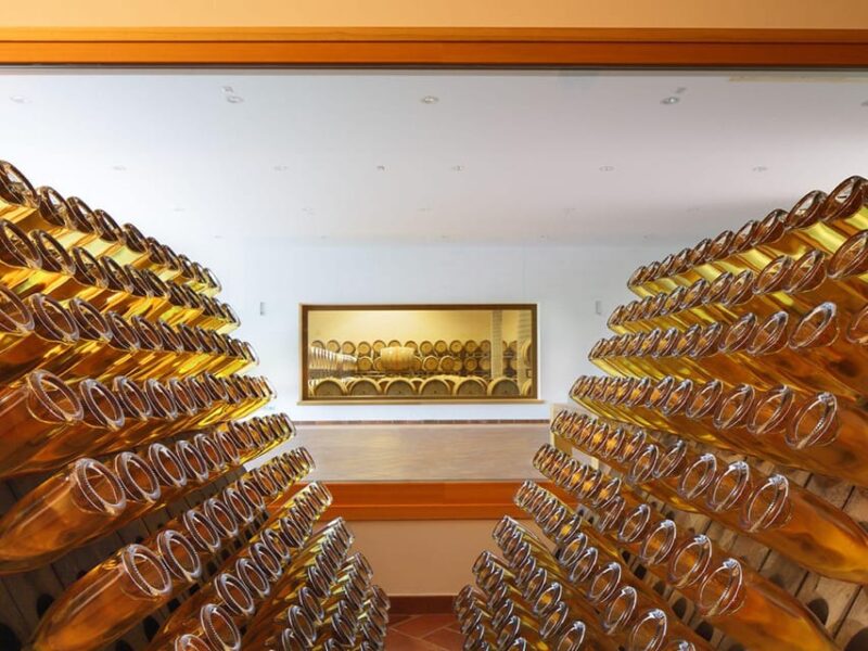 Prosecco Winery Tasting with Food Pairing near Venice - The Food Pairings: Venetian Cicchetti and Local Flavors