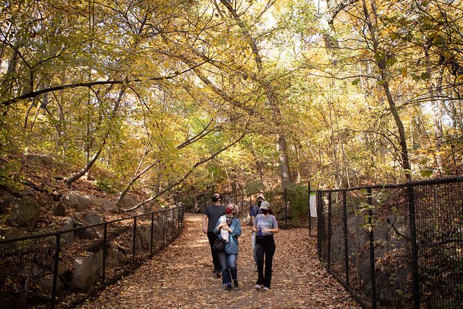 Prospect Park Tour - End at the LeFrak Center at Lakeside