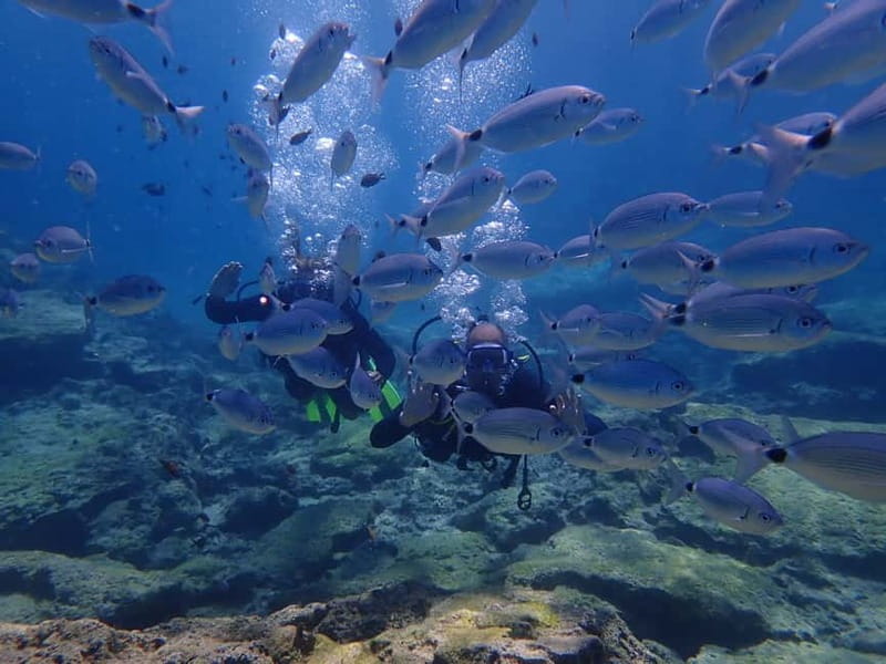 Protaras: 3-4 Day PADI Open Water Diver in Protaras - Key Points