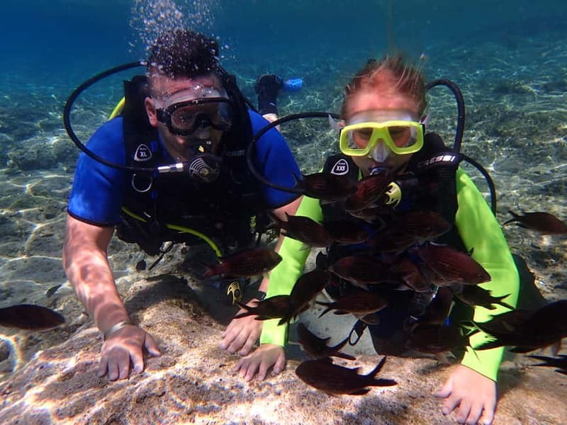 Protaras: Bubblemaker Diving Course & 2-Meter Dive - Key Points