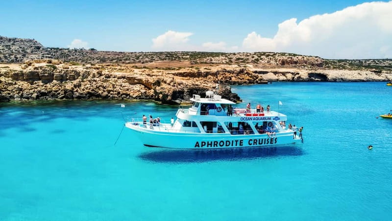 Protaras: Turtle Cove & Blue Lagoon Cruise - Marine Environment and Wildlife Expectations