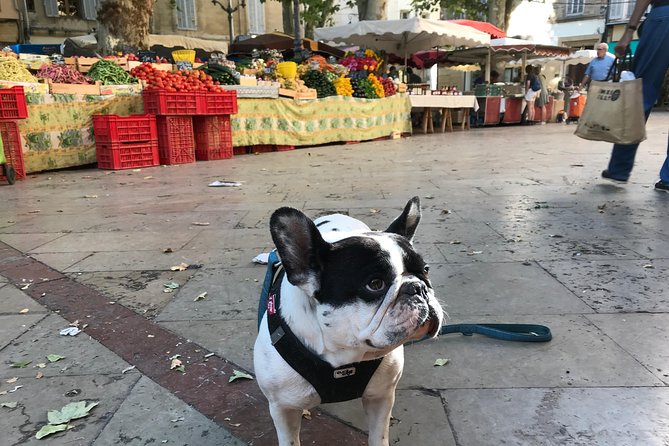 Provençal Farmers market tour - Practicalities and Accessibility