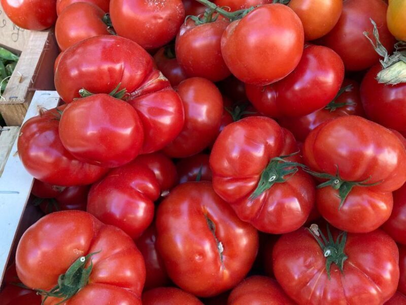 Provencal Market Walking Tour with Tastings - Meet Your Guide at the Archevêché Café