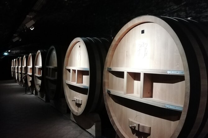 Provence Cru Wine Small-Group Half-Day Tour from Avignon - Key Points