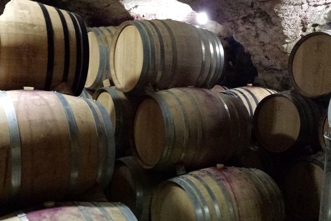 Provence Cru Wine Small-Group Half-Day Tour from Avignon - Visiting the Village of Vacqueyras