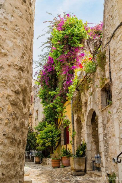 Provence Day, Saint Tropez Grimaud village Wine tasting - The Castle of Grimaud: A Landmark of History