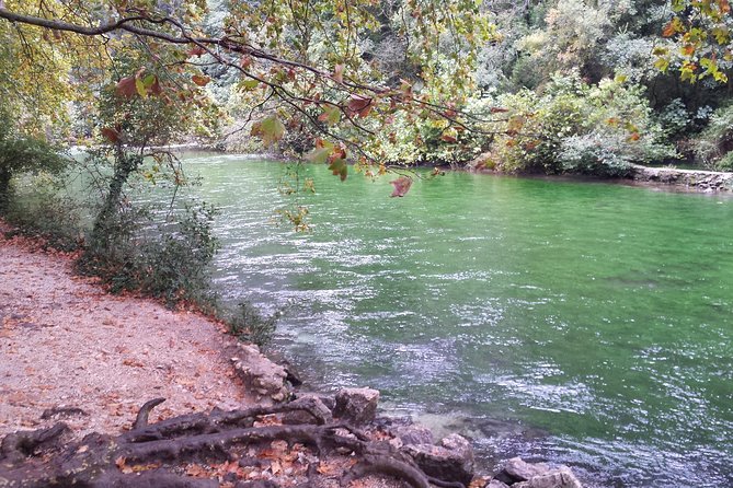 Provence Highlights Full-Day Tour from Avignon - Saint-Remy-de-Provence: Artistic and Historic Walks