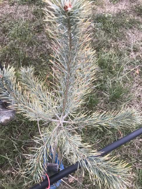 Provence: Mushroom Hunting with Outdoor Breakfast - The Unique Varieties of Mushrooms You Search For