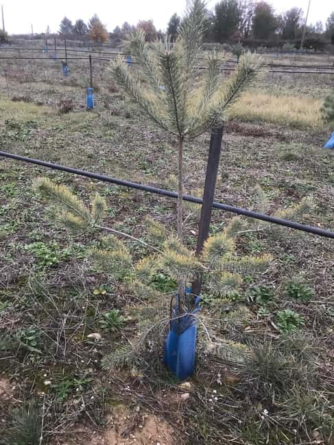 Provence: Mushroom Hunting with Outdoor Breakfast - Enjoying the Outdoor Breakfast in Nature