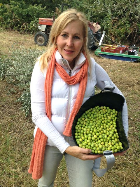 Provence Olive Harvest - Scenic Views and Rural Charm