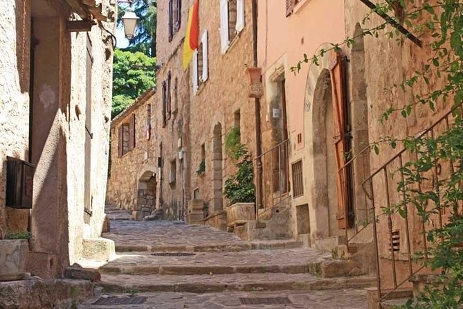 Provence Private Full Day Wine Tour with Wine Tasting - Practical Details and Considerations