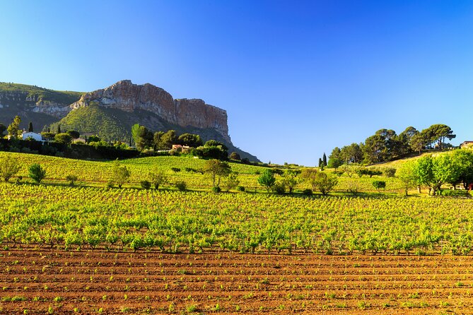 Provence Small Group Wine Full Day Tour in Chateauneuf du Pape vineyard from Aix - Lunch Break in the Region