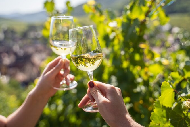 Provence, Vineyards and Lavender Fields Private Day Trip - Key Points