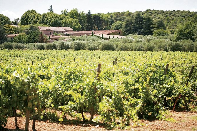 provence wine tasting - Booking, Cancellation, and Additional Costs
