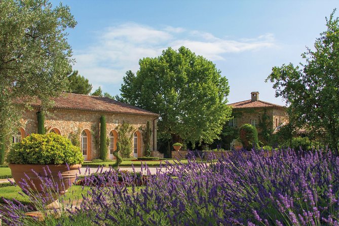 Provence Wine Tour - Private Day Tour from Cannes - Additional Food and Drink Options