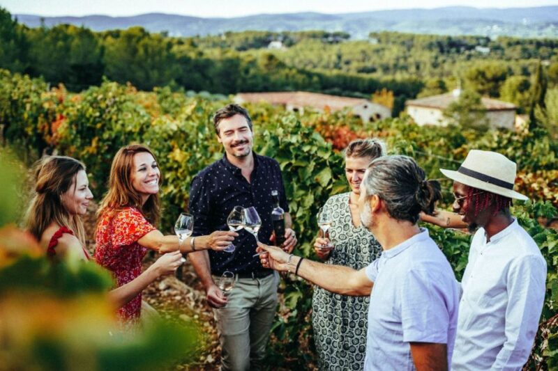 Provence Wine Tour - Private Tour from Nice - Mini-Masterclass: Tasting Tips and Food Pairings