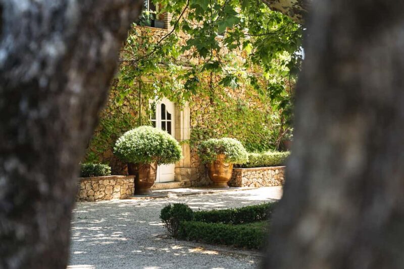 Provence Wine Tour - Private Tour from Nice - The Final Stop: Organic Wines and Scenic Gardens