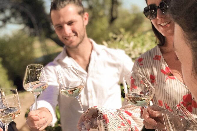 Provence Wine Tour - Small Group Tour from Cannes - The Wines: A Range of Flavors and Styles