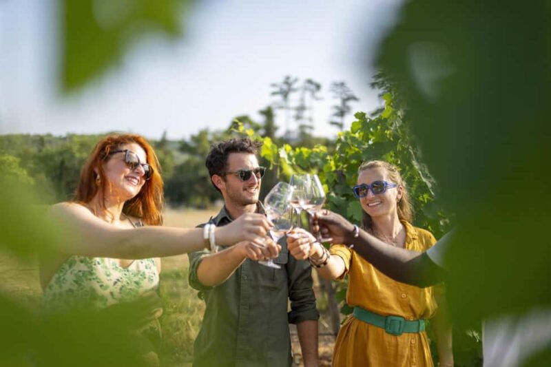 Provence Wine Tour - Small Group Tour from Cannes - Visiting a Chambery-Backed Château with a Two-Thousand-Year-Old Past