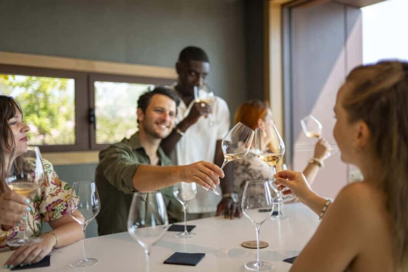 Provence Wine Tour - Small Group Tour from Cannes - Visiting a Reputable Family-Owned Estate with Artistic Ties