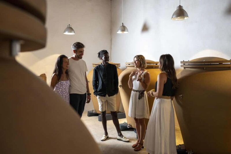 Provence Wine Tour - Small Group Tour from Cannes - Return and End of the Tour in Cannes