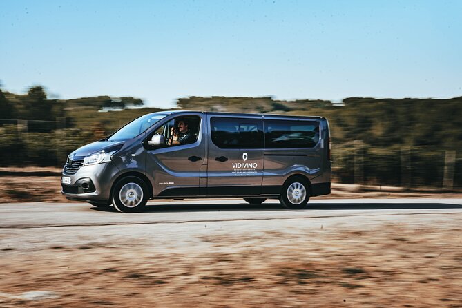 Provence Wine Tour - Small Group Tour from Nice - Key Points