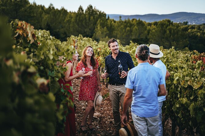 Provence Wine Tour - Small Group Tour from Nice - All-Inclusive Tastings and Guided Expertise