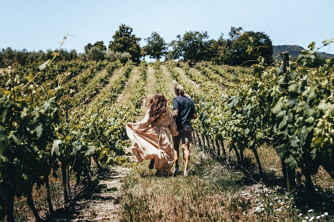 Provence Wine Tour - Small Group Tour from Nice - Logistics and Practical Details