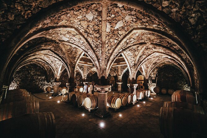 Provence Wine Tour - Small Group Tour from Nice - The Experience of Guides and Guest Satisfaction