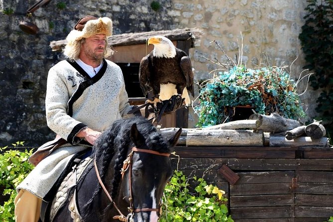 Provins - Medieval City Tour - Private Trip - The Mixed Reviews and Practical Tips