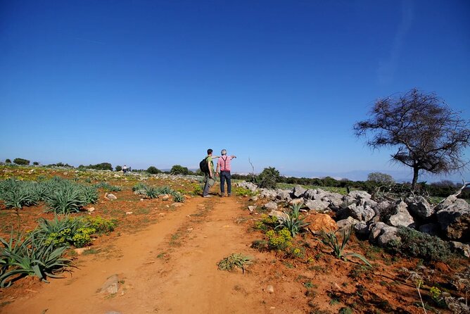 PUBLIC 5,5h Plavnik Island Half-day Boat Trip - Starting Point at Punat’s Taxi Boat for a Seamless Departure