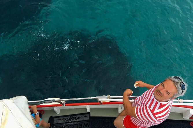 PUBLIC 5,5h Plavnik Island Half-day Boat Trip - The Guide’s Style and Onboard Atmosphere