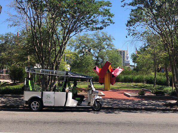 Public Art Tour in Jacksonville - Riding in a Tuk-Tuk: A Unique Way to See Downtown Jacksonville