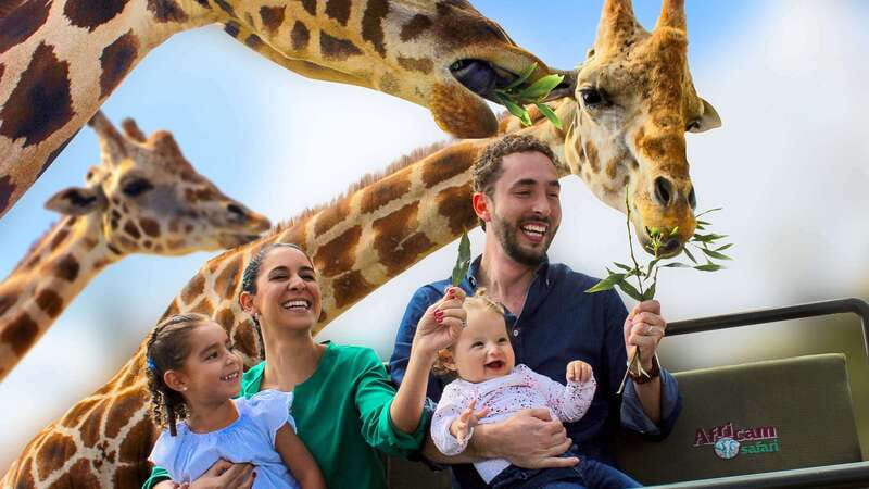 Puebla Africam Safari Park, Live an Unforgettable Adventure! - The Tour Starts at Puebla’s Zocalo with Convenient Transport