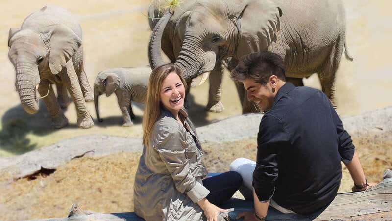 Puebla Africam Safari Park, Live an Unforgettable Adventure! - Discovering the Habitats and Animal Collection